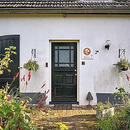 Doremi B&B