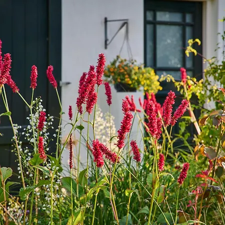 Bed and breakfast Doremi 4*