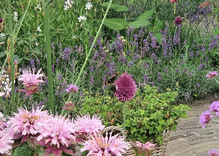 Bed and Breakfast Doremi 4*