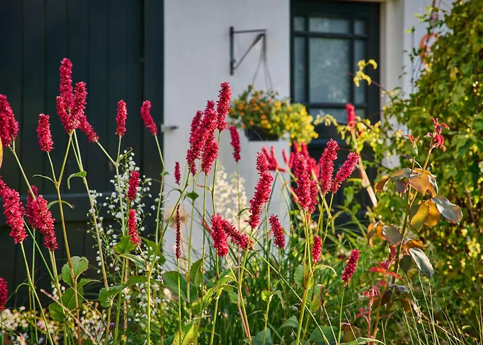 Bed and Breakfast Doremi 4*